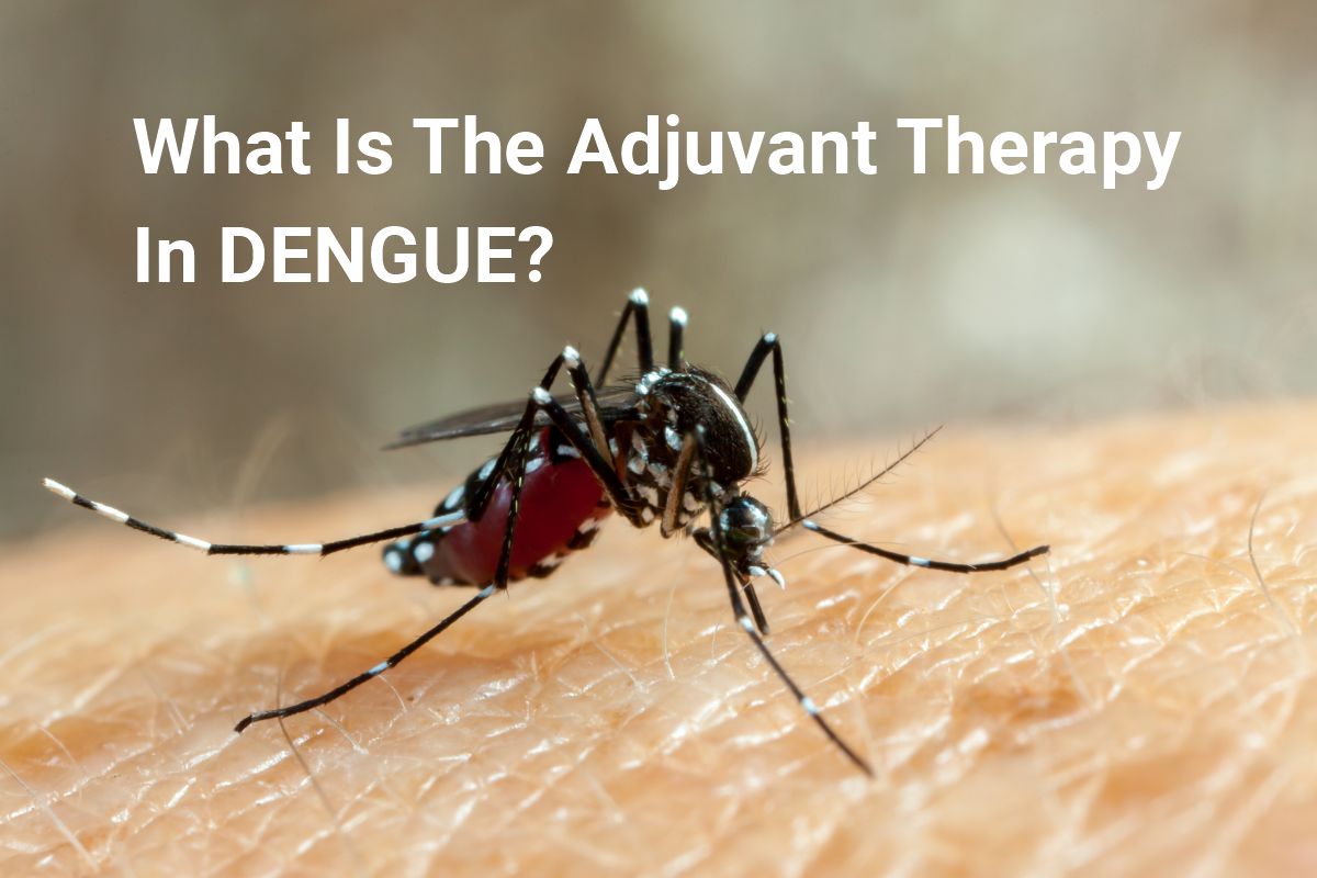What is dengue and what causes dengue