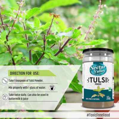 Nectar Valley Tulsi leaf powder (Ocimum sanctum) 250g | Pure and natural, organically processed fine quality holy basil powder